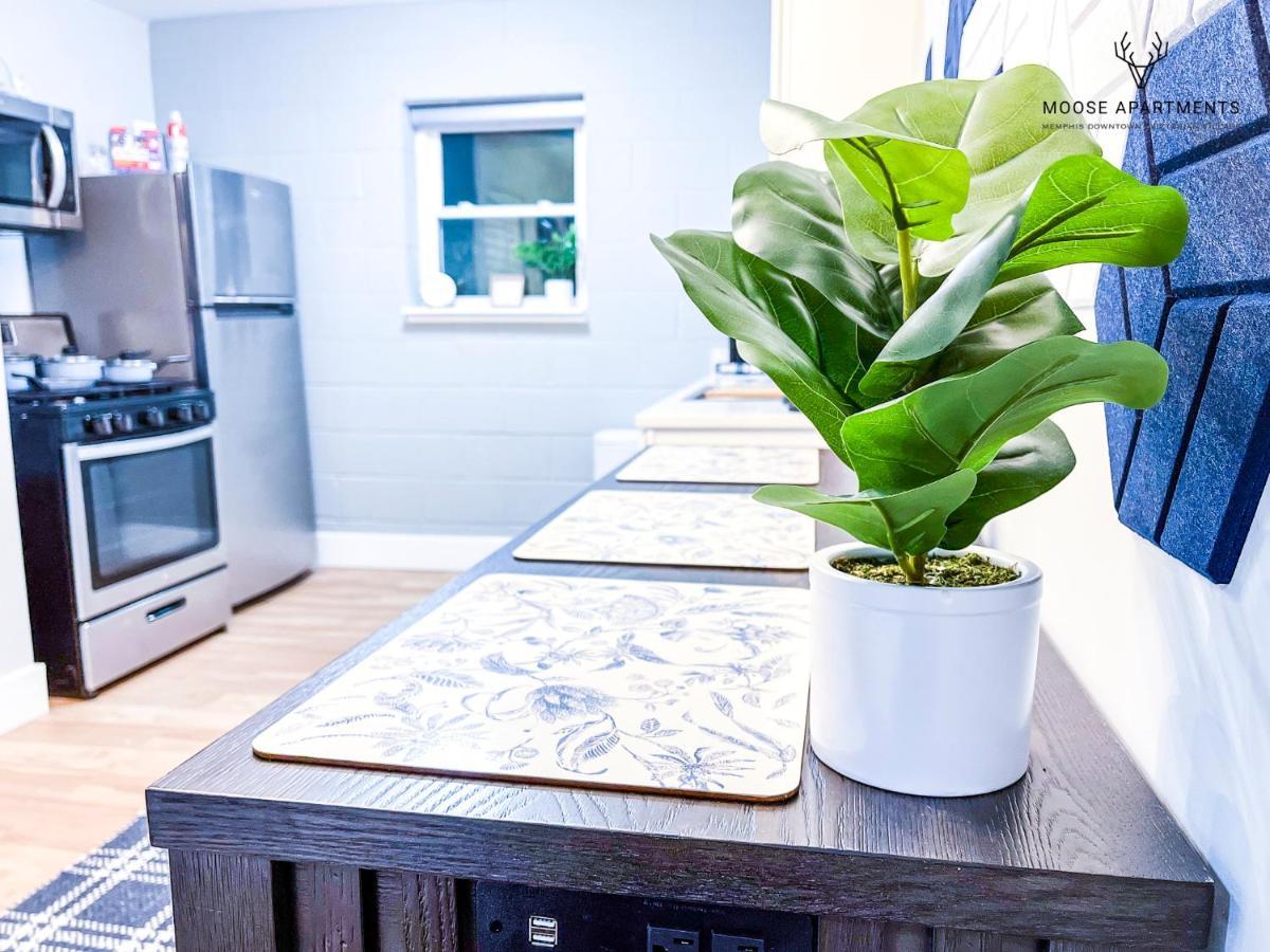 Appartamento The Moose #8 - Modern Luxe Loft With King Bed & Free Parking & Wifi Memphis Esterno foto